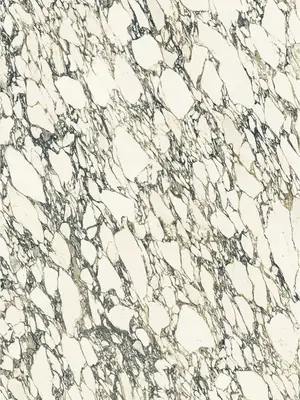 Arabescato Corchia marble