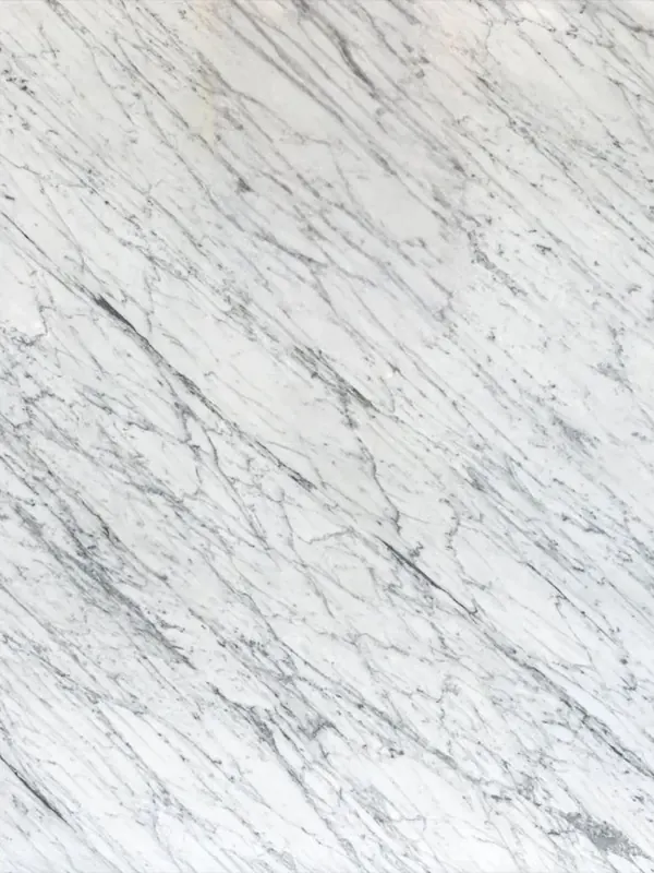 Carrara C marble, white with a fine gray vein