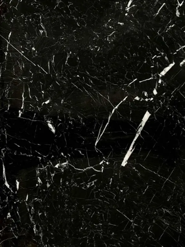 Nero Marquina marble, black with fine white veins