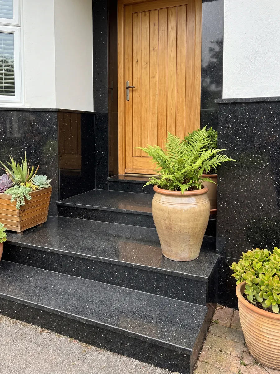 House facade clad in black Star Galaxy granite next to a wood door: black with small shining gold flecks