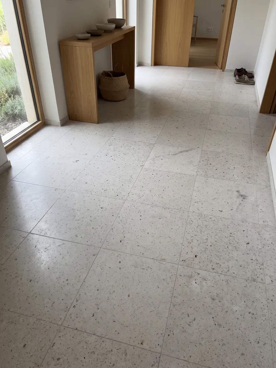 Entryway floor in large slabs of gray Bianco Martel marble with natural light: smooth light gray with many small dark dots spread across it