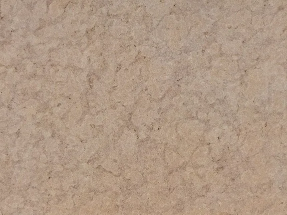 Detail of Santafiora Fiorita sandstone: the network of patches and the stone's grain, on a matte surface.