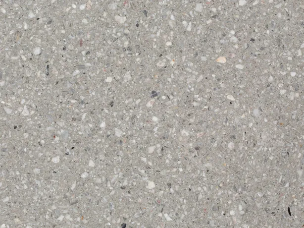 Detail of Fior di Pesco Grey: very dense white fragments over the matte light gray background
