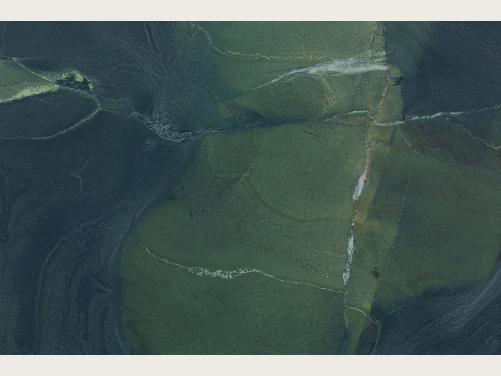 Green Avocatus quartzite slab: cloudy dark olive green with a few fine, broken white veins