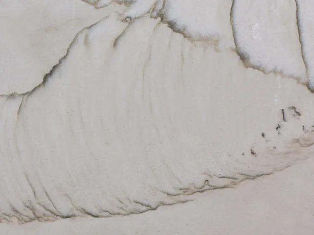 Close-up of white Dune quartzite: fine dark gray veins and light gray touches over the polish