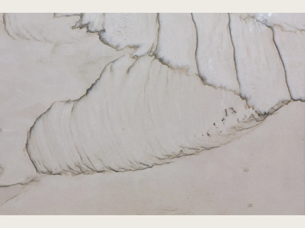 Slab of white Dune quartzite: bone white background with one large wavy curve of dark gray veins