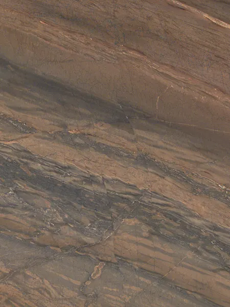 Elegant Brown quartzite