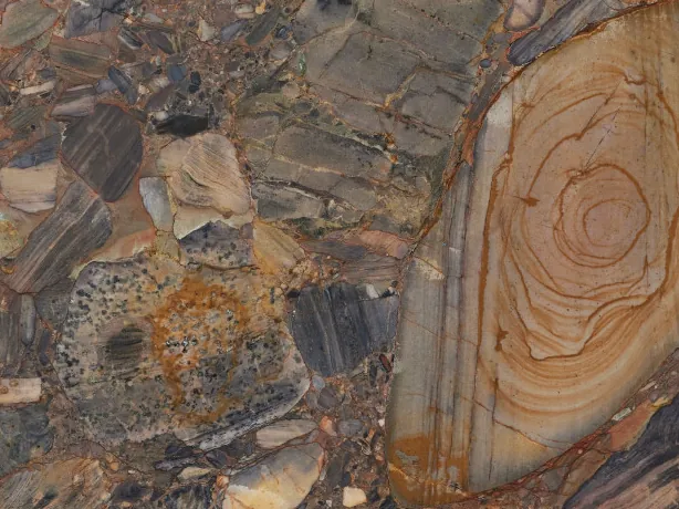 Detail of brown Four Seasons quartzite: fragments in several sizes and concentric rings on the large pebble