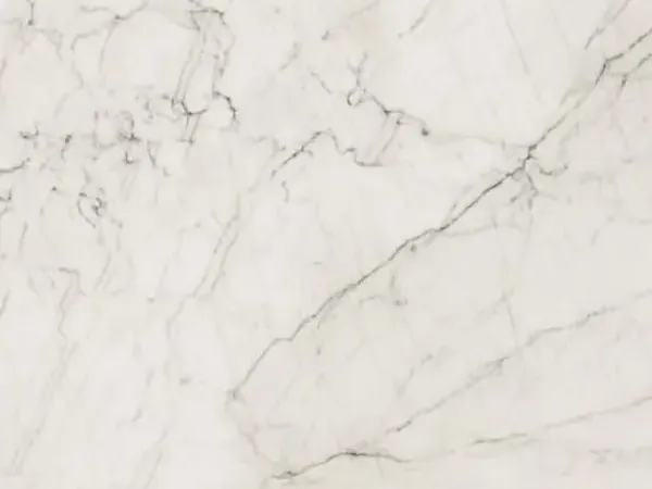 Tahiti quartzite slab: warm white background with a network of fine gray and black veins