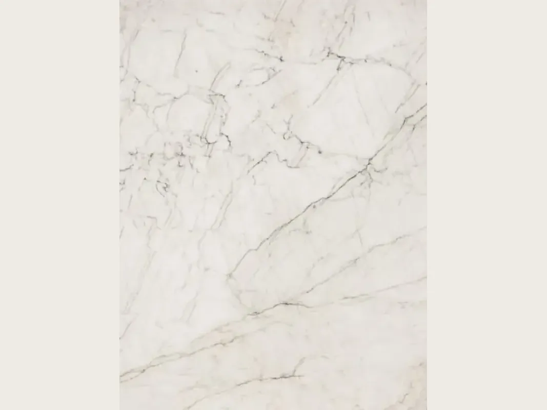 Slab of white Tahiti quartzite: warm white background with a network of fine gray and black veins