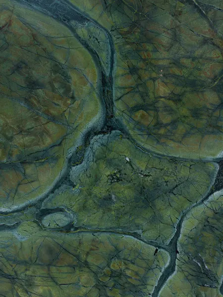 Victoria Regia quartzite