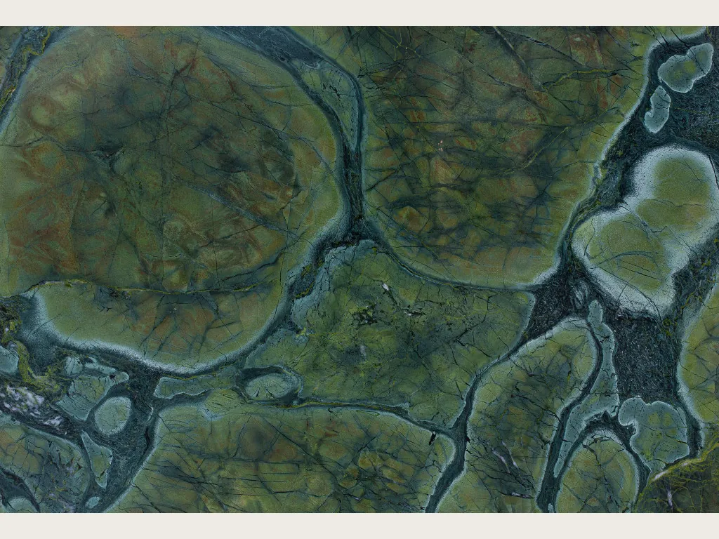 Victoria Regia green quartzite slab: a mosaic of rounded olive green cells with dark petrol blue borders