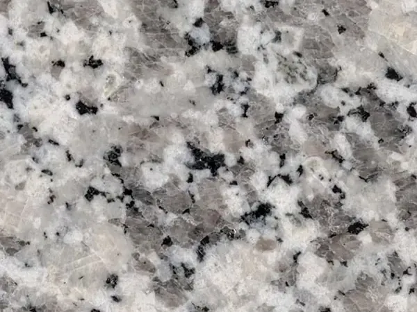 Slab of Bianco Sardo Granite: a coarse-grained grayish white background with gray and black crystals