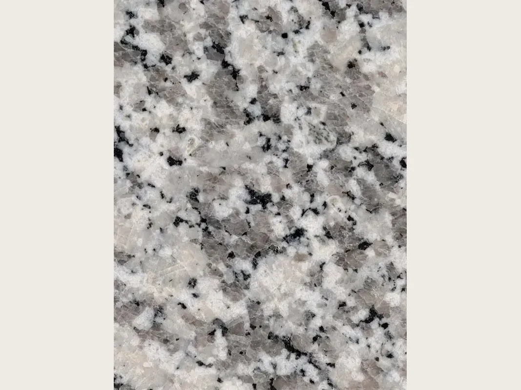 Slab of white Bianco Sardo granite: a coarse-grained grayish white background with gray and black crystals