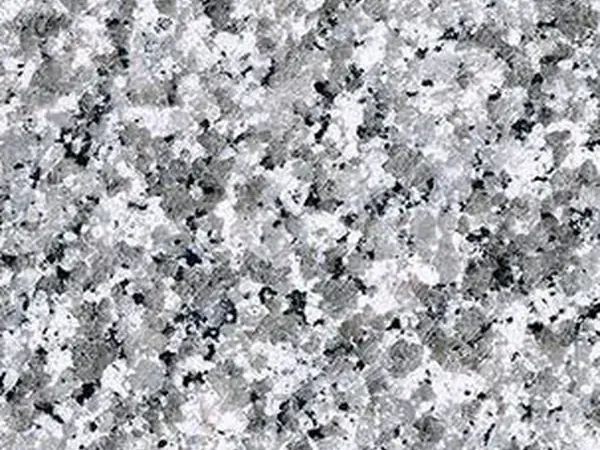 Slab of Sardo Grigio granite: light gray salt and pepper with a medium grain and a glossy polish