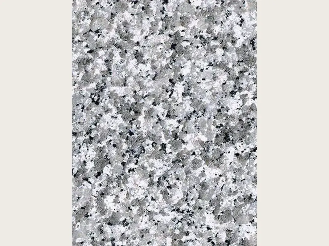 Slab of Sardo Grigio granite: light gray salt and pepper with a medium grain and a glossy polish