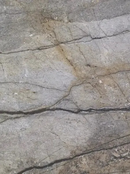 Silver Roots granite