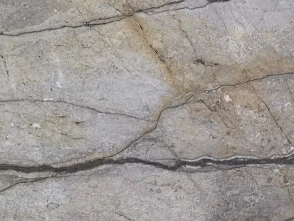 Slab of Silver Roots granite: taupe gray background with horizontal dark gray veins, fine cracks and ocher touches