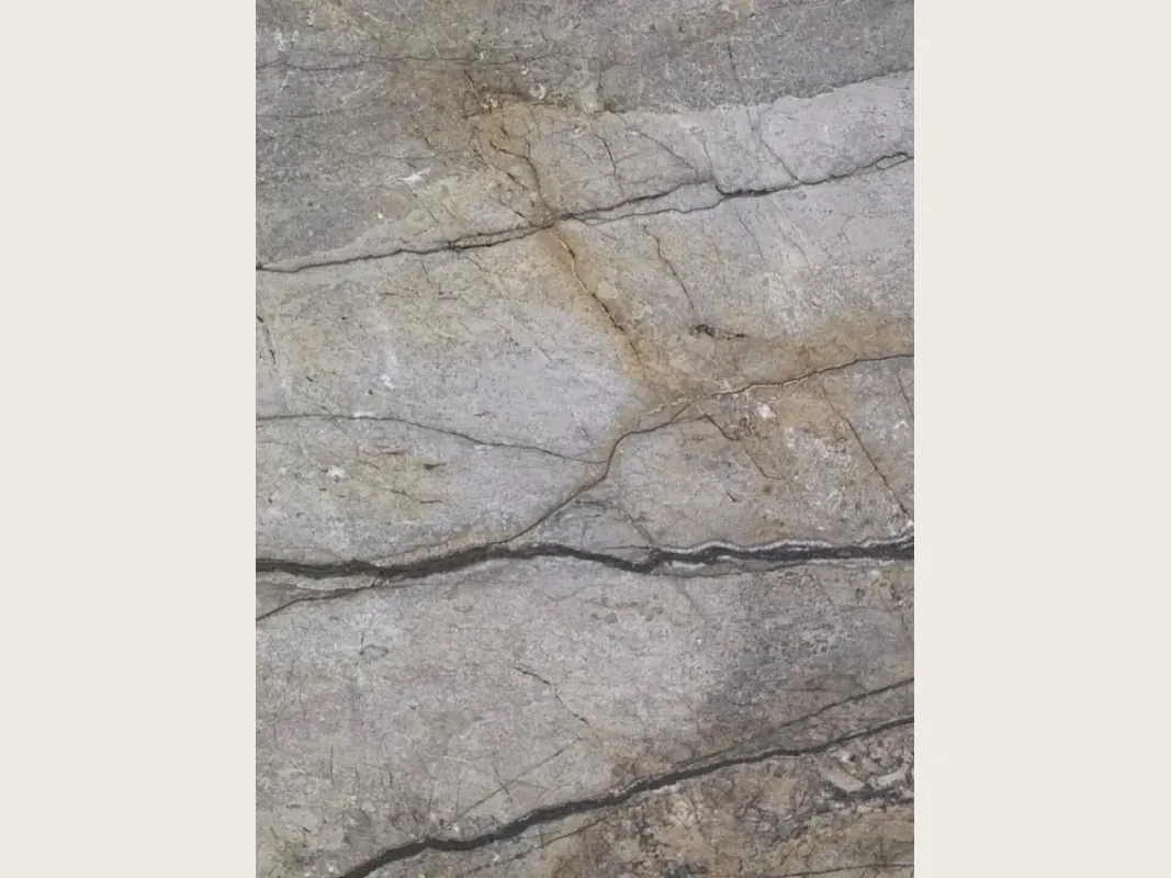 Slab of Silver Roots granite: taupe gray background with horizontal dark gray veins, fine cracks and ocher touches