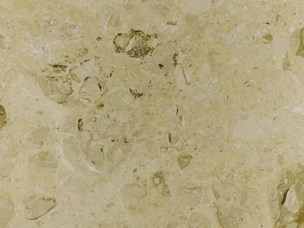 Detail of beige Alma marble: olive and brown fossils scattered over the greenish cream background