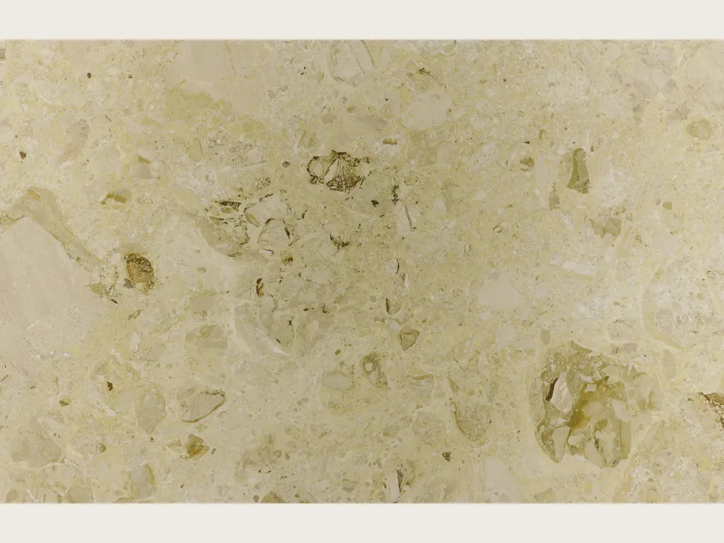 Beige Alma marble slab: a greenish beige background with rounded fossil inclusions in olive green and brown