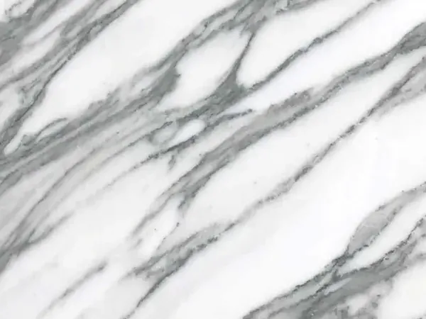 Arabescato Apuano marble slab: thick branching dark gray veins over white, set diagonally