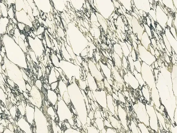 Arabescato Corchia marble slab: a dense web of dark gray and black veins on a warm white background