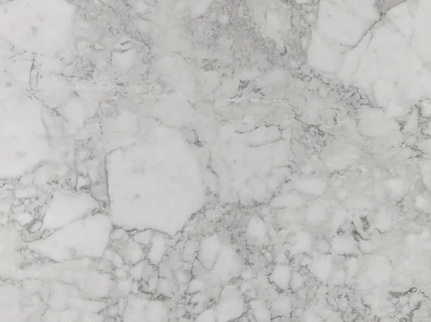 Detail of Arabescato Vagli: fine light gray veins over white fragments and a grayer central zone