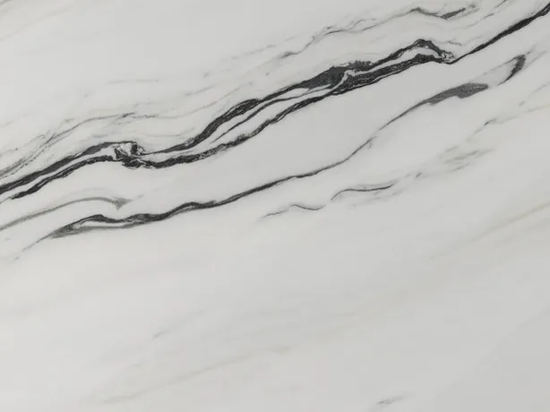 Detail of Bianco Covelano Macchia Vecchia: the wavy black vein next to fine gray lines