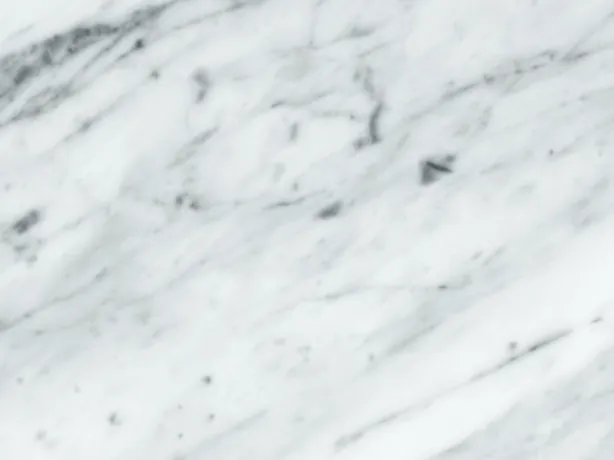 Detail of the gray veins in Bianco Gioia marble: varied width over a white background