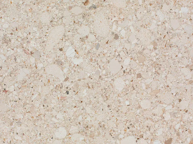 Bianco Romano detail: small, dense rounded clasts over the matte pinkish beige