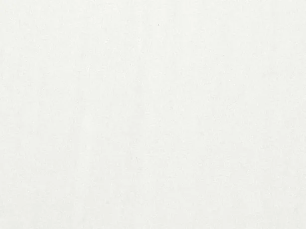 Bianco Sivec detail: an even white surface with a grayish tint