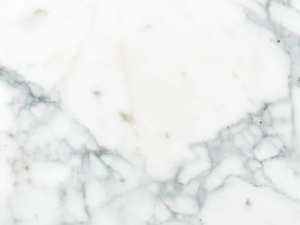 Bianco Statuarietto detail: the net of gray veins between the white fragments