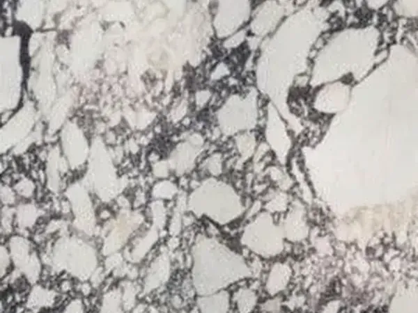 Slab of Breccia Capraia marble: white fragments inside a dark gray and violet web