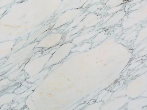 Close-up of white Breccia di Serravezza marble: a fine bluish gray web around the white fragments