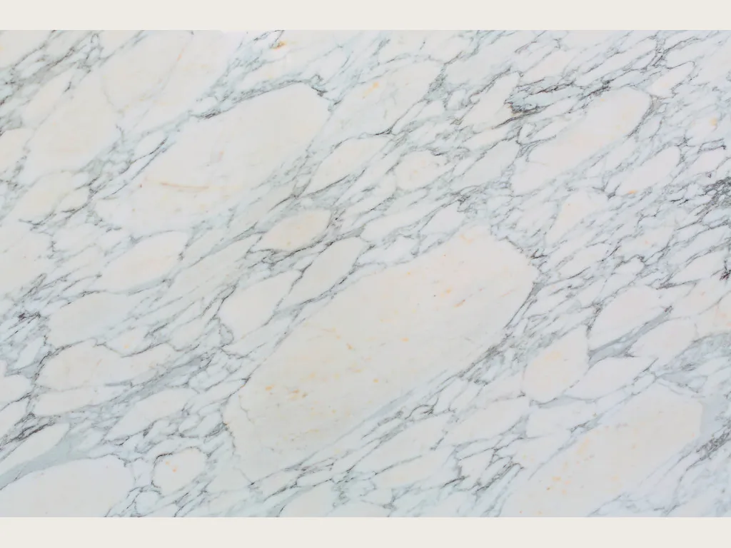 White Breccia di Serravezza marble slab: white fragments framed by a fine web of bluish gray veins