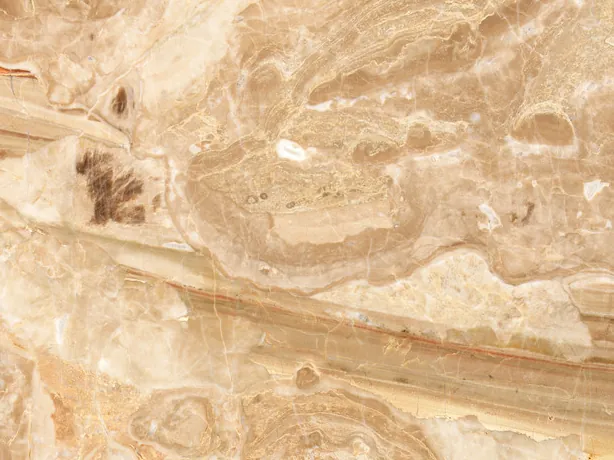 Close-up of Breccia Oniciata beige marble: beige concentric waves in the brecciated pattern