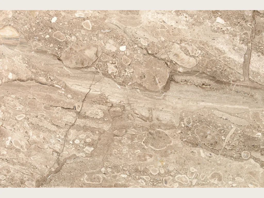 Slab of beige Breccia Sarda marble: warm beige base with diagonal cream and light brown veins, some thick (another slab)