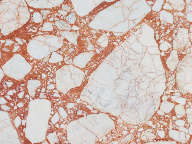 Close-up of the white fragments and coral red matrix of Calacatta Antique