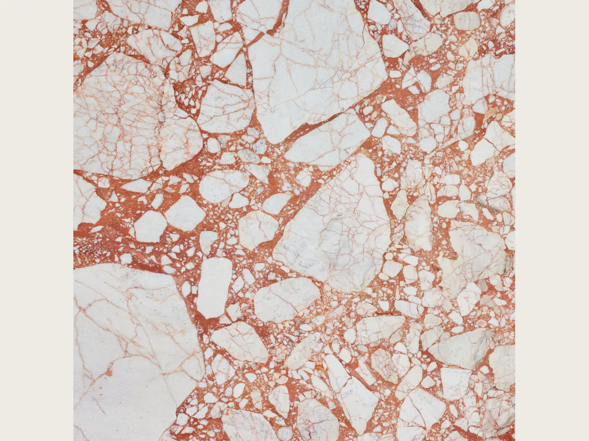 Slab of white Calacatta Antique marble: white fragments joined by a coral red matrix