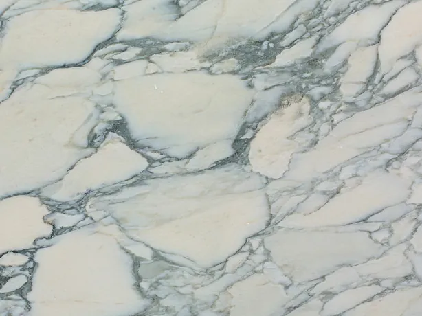 Calacatta Caldia detail: greenish gray veins around cream fragments