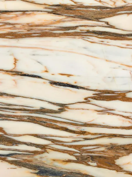 Mármore Calacatta Copper