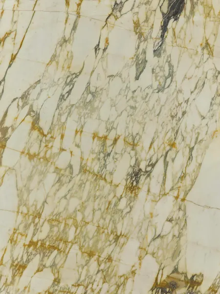 Mármore Calacatta Monet Gold