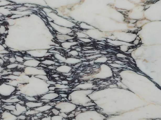 Close-up of white Calacatta Viola marble: the dark violet web closing in between the white fragments