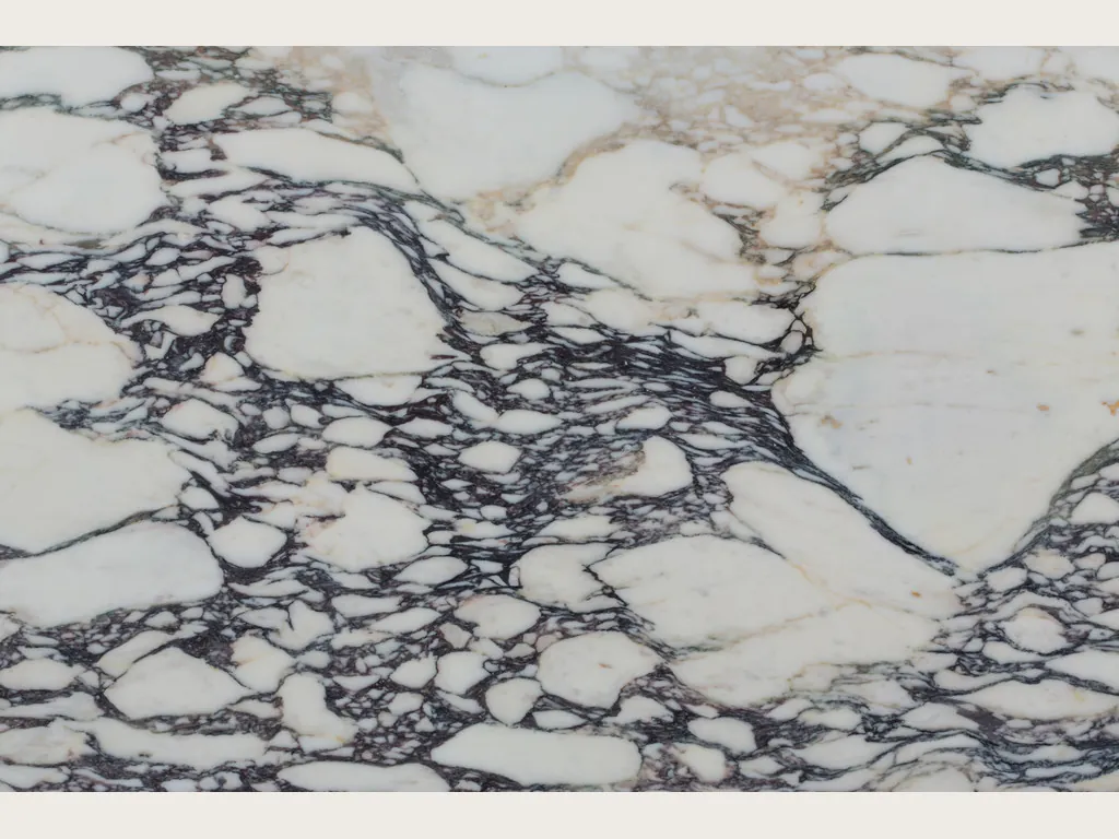 Slab of white Calacatta Viola marble: white fragments framed by a dark violet web, denser toward the center
