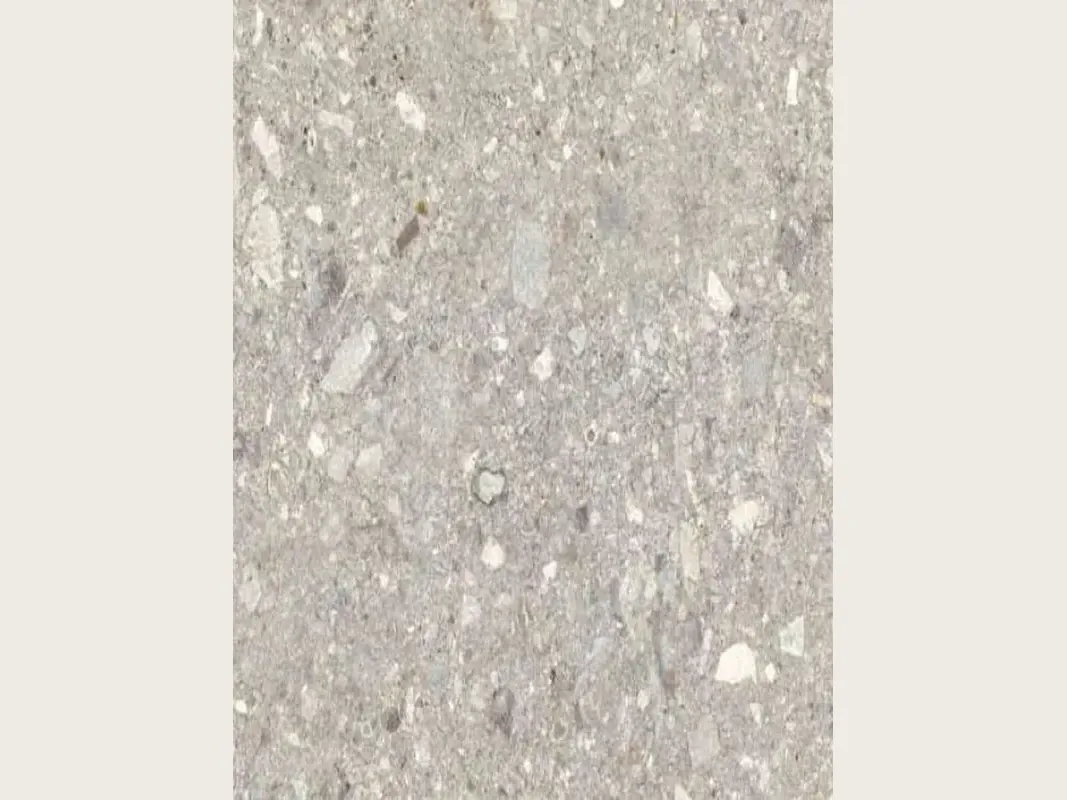 Slab of gray Ceppo di Gré marble: light gray with small beige and gray fragments spread across it