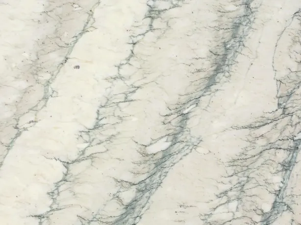Detail of Cipollino Verde: fine, branching grayish green veins in parallel stripes