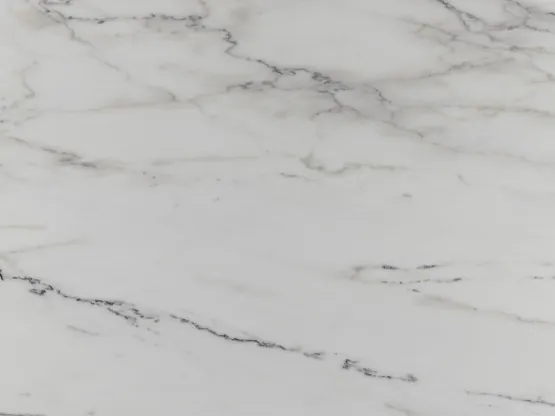 Detail of white Colorado Gold marble: a wavy fine dark gray vein over a light background