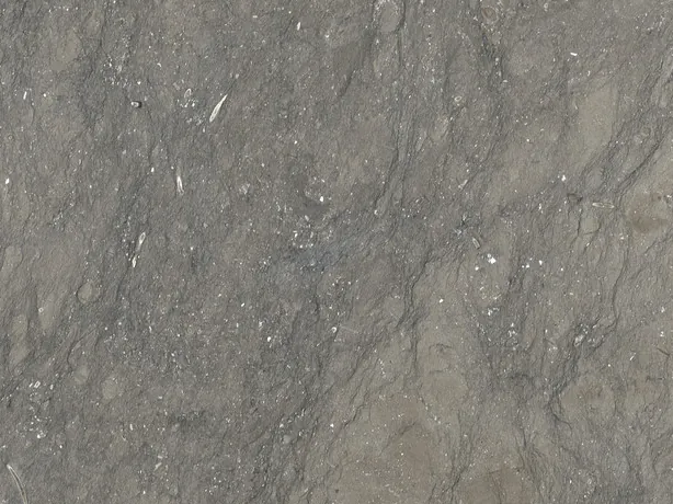 Close-up of gray Ebano marble: light specks and soft clouds over the gray-brown background
