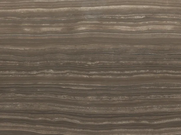 Eramosa marble detail: fine, parallel beige lines over the grayish brown background